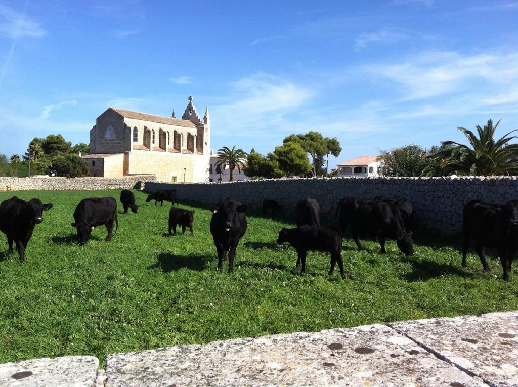 Llucmacanes Gran Agroturismo มาโอน ภายนอก รูปภาพ